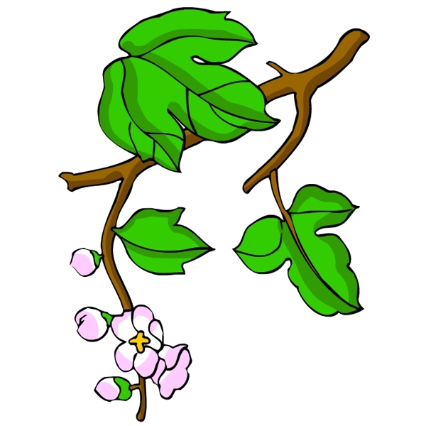 花卉古典插畫(huà)