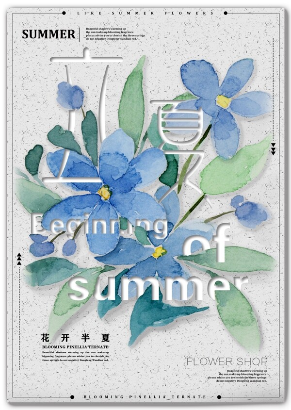 简约小清新花卉与艺术字的排版立夏节日海报
