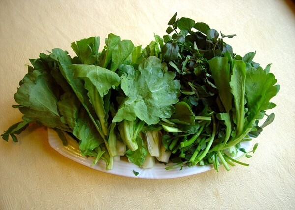 什菜圖片