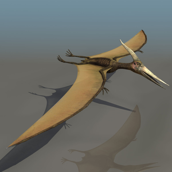 翼龍3D模型