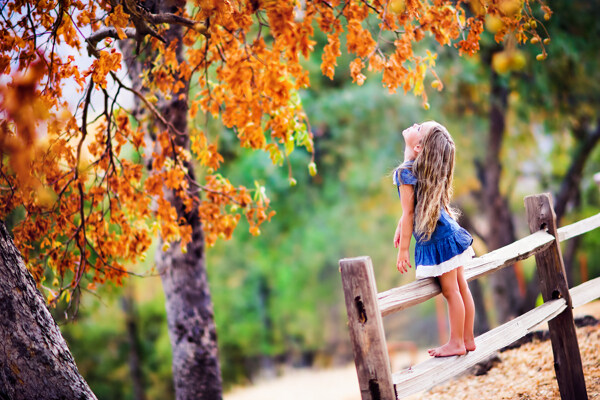 小女孩和秋天树木图片