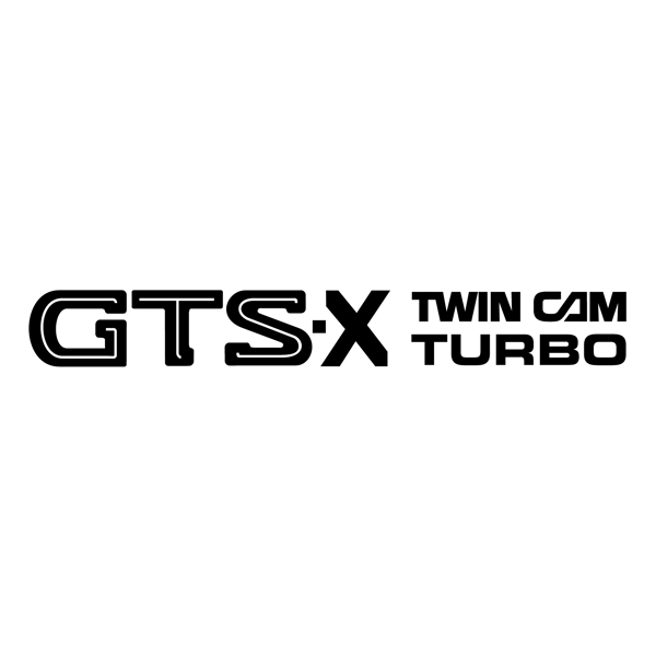 GTSX双凸轮涡轮