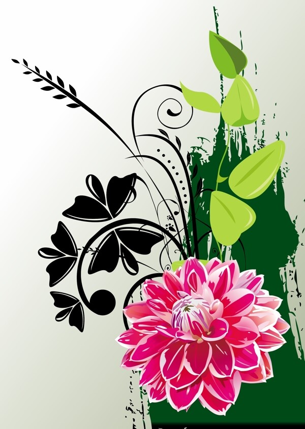 歐美花紋
