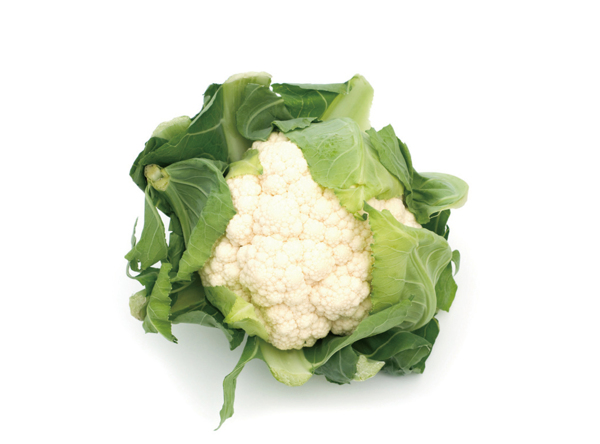 菜花圖片