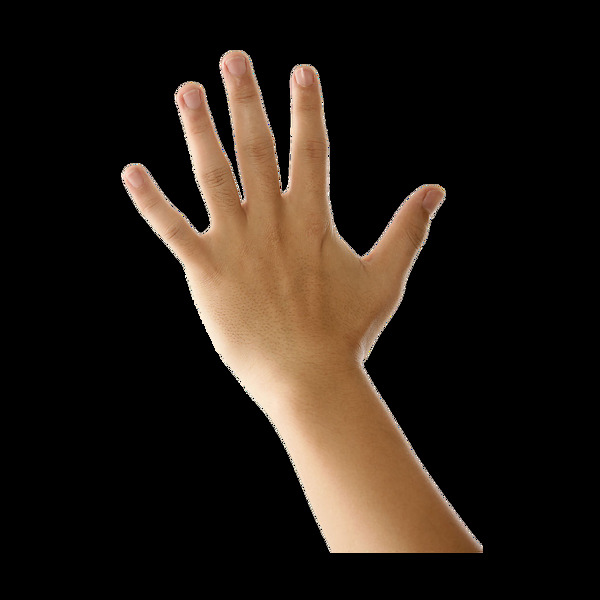 3D立体手掌元素