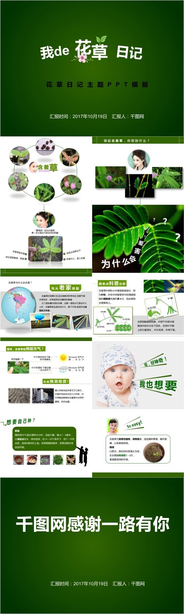 花草日記主題PPT模板