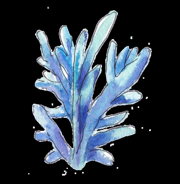手绘一株蓝色珊瑚png透明素材