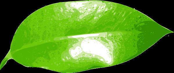 榕剪貼畫(huà)