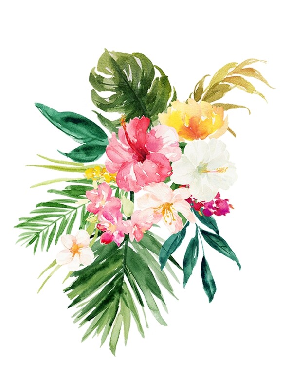 插畫花卉