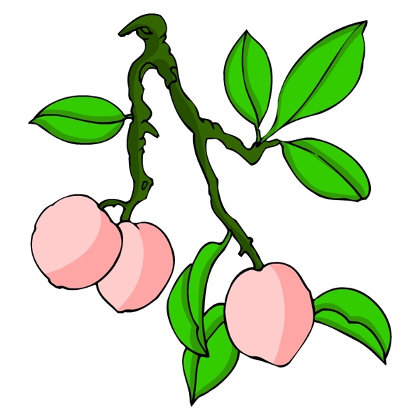 花卉古典插畫