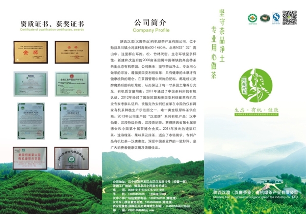 茶園三折頁