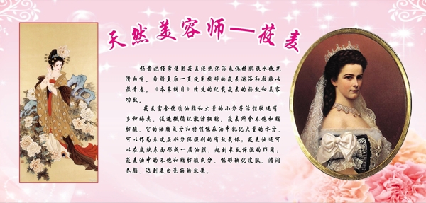 美容養(yǎng)生展板圖片