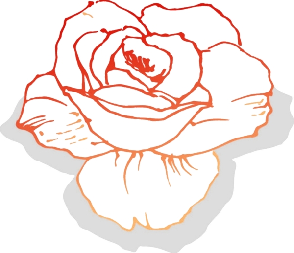 精美花卉