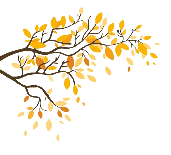 秋天黄树叶手绘插画