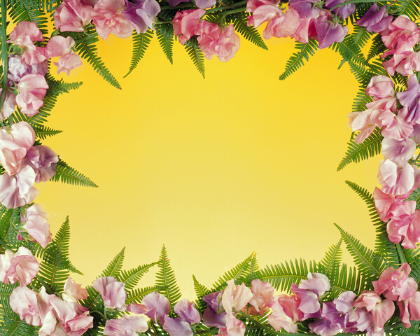 花紋花邊