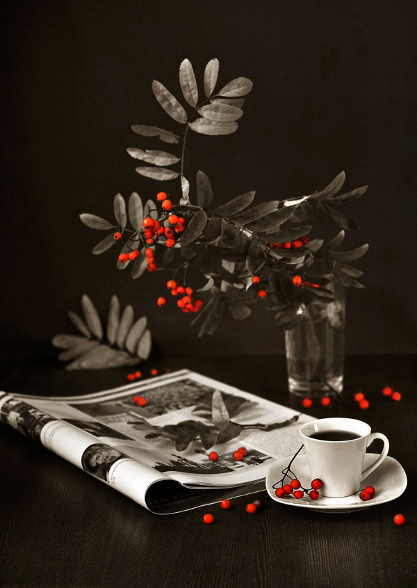桌面上的杂志咖啡和植物图片