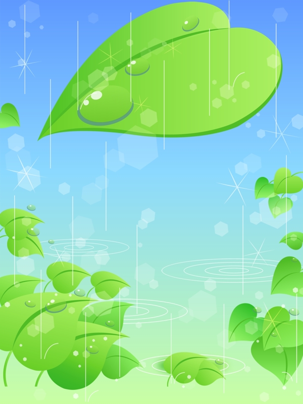 雨滴小葉