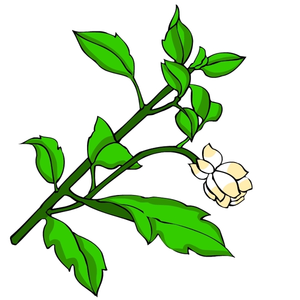 花卉古典插畫