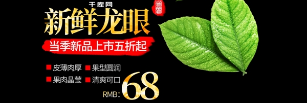 电商海报简约中国风水果新鲜龙眼桂圆绿叶