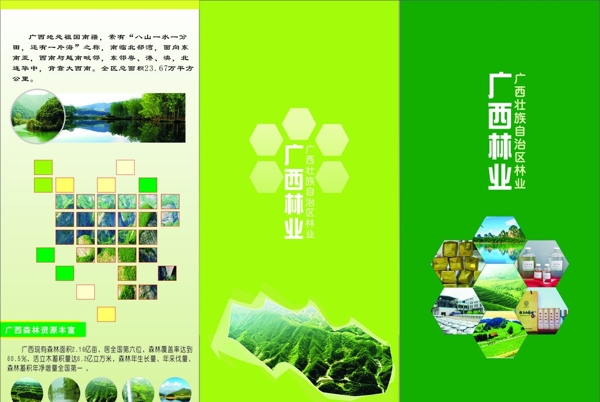廣西林業(yè)折頁圖片
