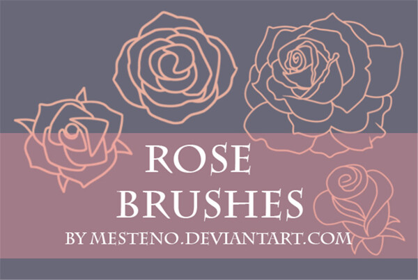 漂亮的玫瑰花线框图形PS笔刷素材