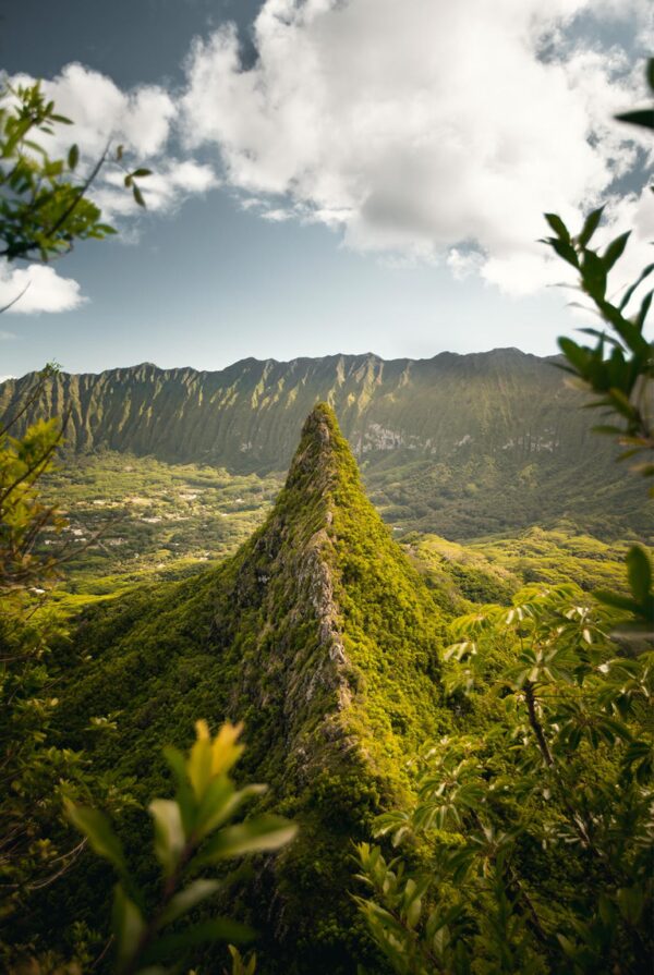 山