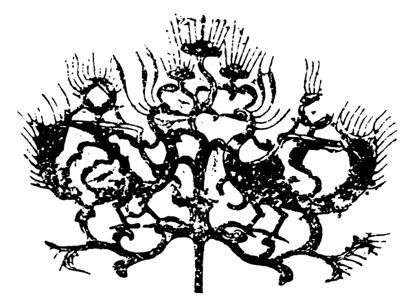 動(dòng)物圖案