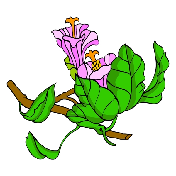 花卉古典插畫(huà)
