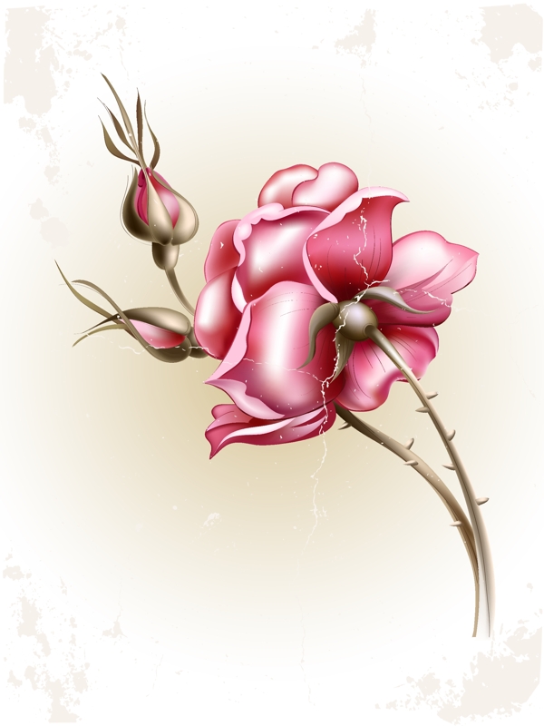 花卉壁畫圖
