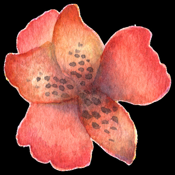 果紅花葉透明裝飾素材