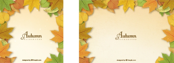 可爱的秋天的背景五颜六色的树叶