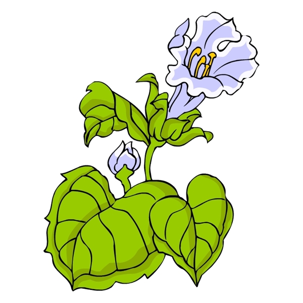 花卉古典插畫