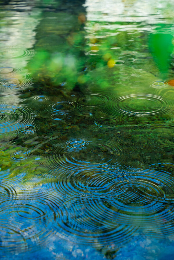 池塘水滴水韵夏季绿色清新背景