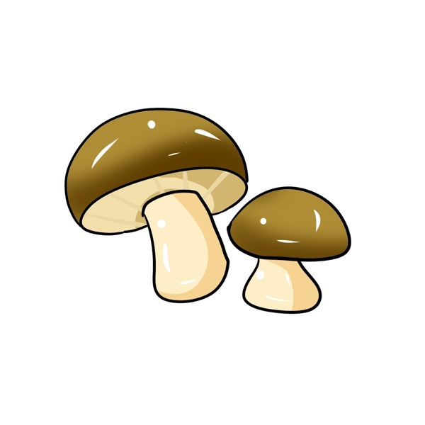 立体圆形蘑菇插图