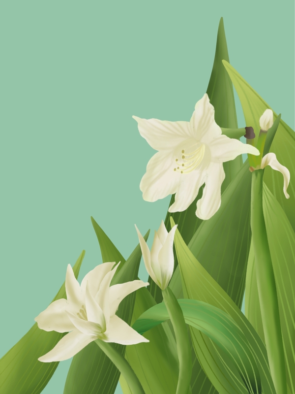 節(jié)氣春分花朵插畫背景