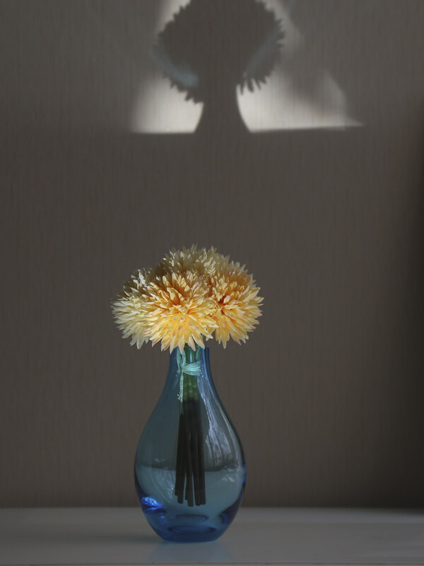 花瓶与影子