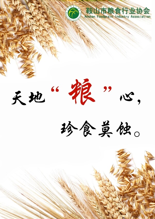 節(jié)約糧食展板圖片
