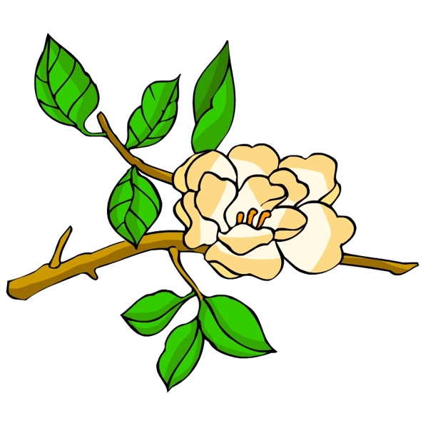 花卉古典插畫