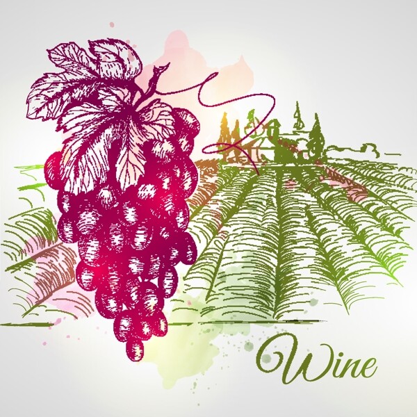 葡萄酒庄园手绘图片