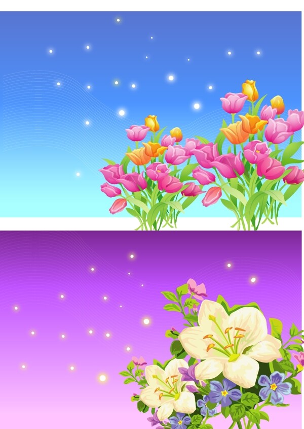 白色百合花和粉色小花