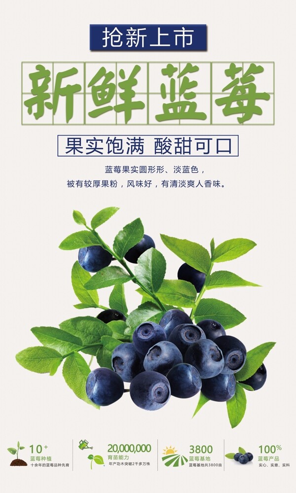 新鲜蓝莓上市海报