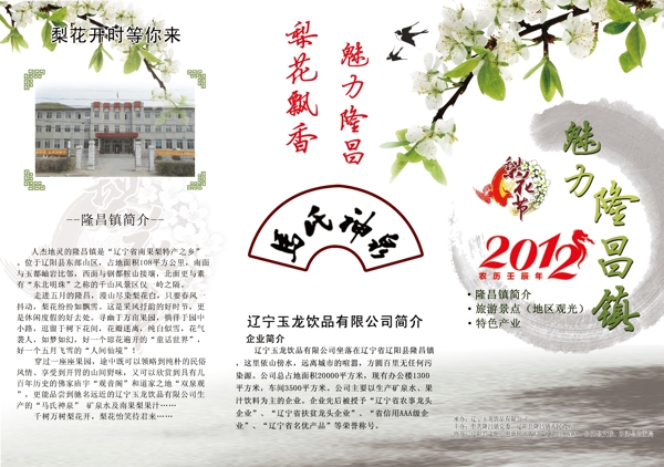 隆昌鎮(zhèn)梨花節(jié)宣傳折頁(yè)圖片