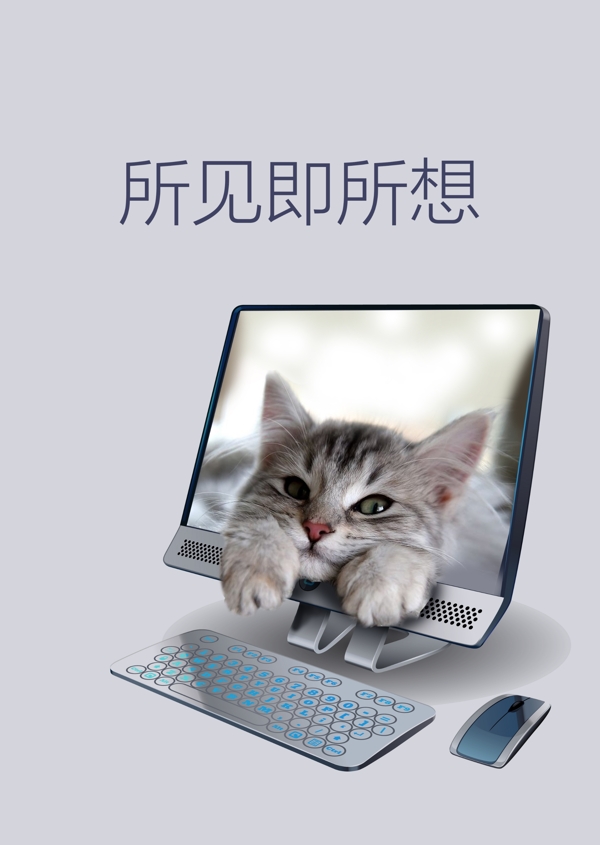 电脑海报猫咪