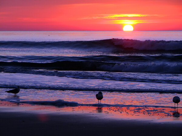 海洋日落图片