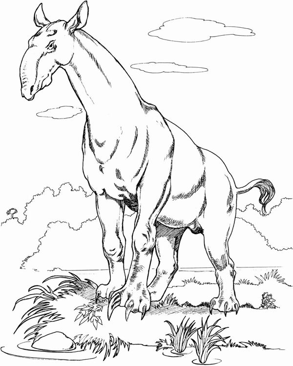手繪動物畫動物素描