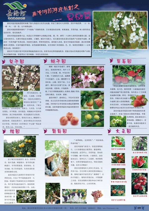 溫泉果樹宣傳冊圖片
