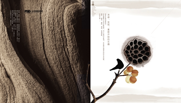 淡雅封面圖片