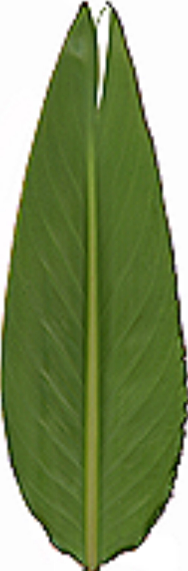 創(chuàng)意客廳模型