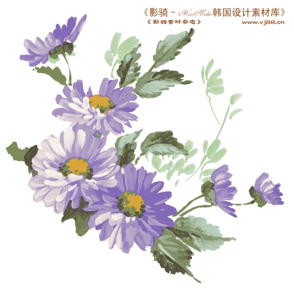 花紋花朵裝飾修飾HanMaker韓國(guó)設(shè)計(jì)素材庫(kù)