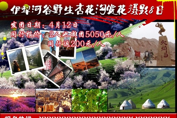 新疆摄影游宣传单图片